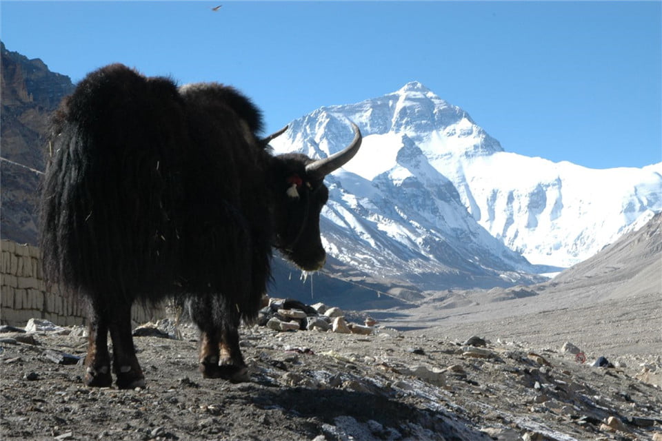 Mount Everest