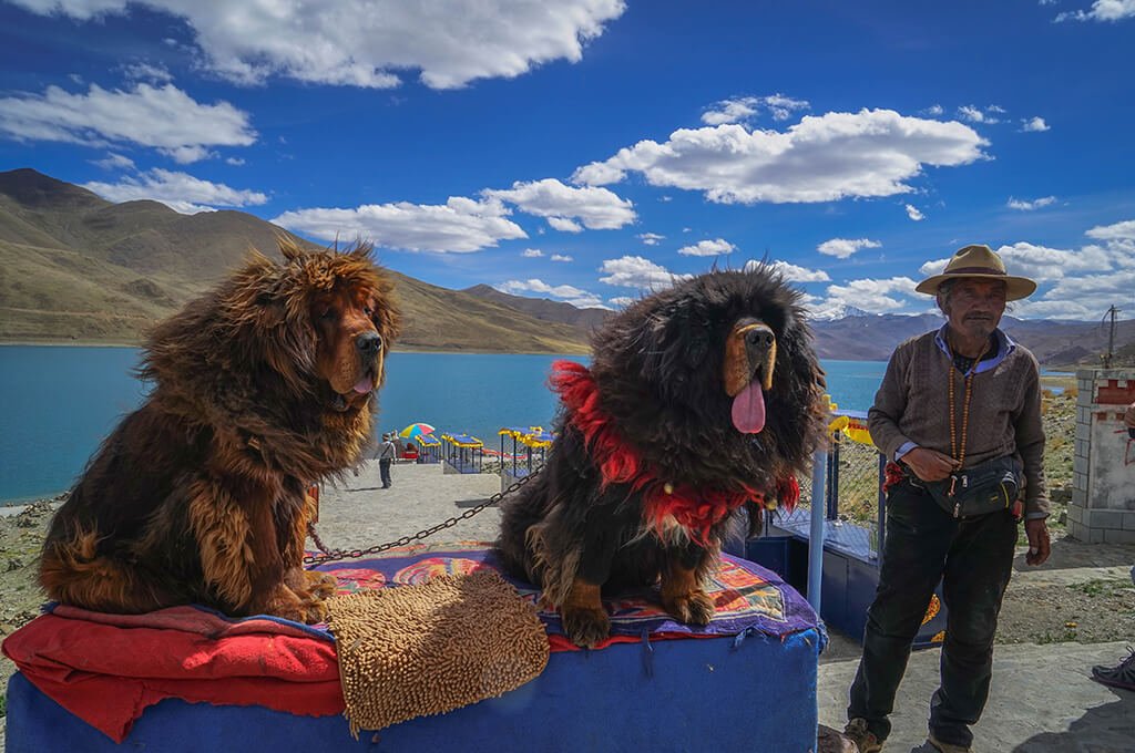 Tibet Yamdrok Lake Travel Guide