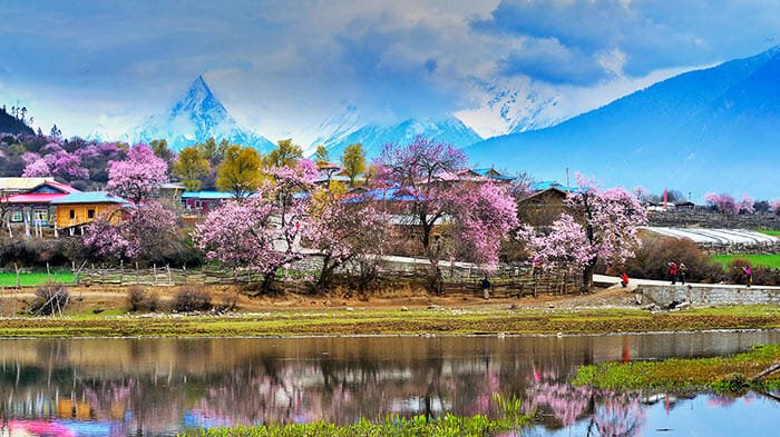Nyingchi in Spring