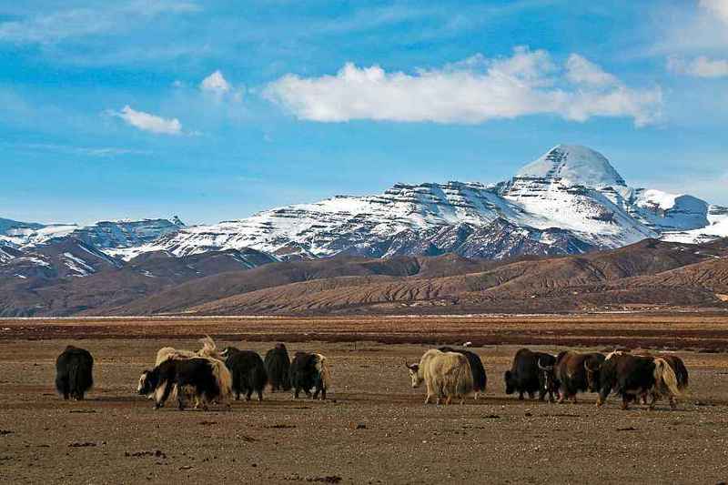 Mt.Kailash Flights to Tibet from US